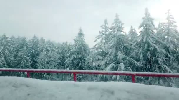Πρώτου Προσώπου Πλάνα Από Όμορφο Τοπίο Χειμώνα Από Αυτοκίνητο — Αρχείο Βίντεο