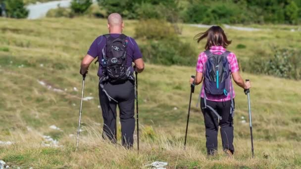 Dva Turisté Sjíždějí Kopce Vycházkovými Holemi Počasí Slunečné Krásné — Stock video