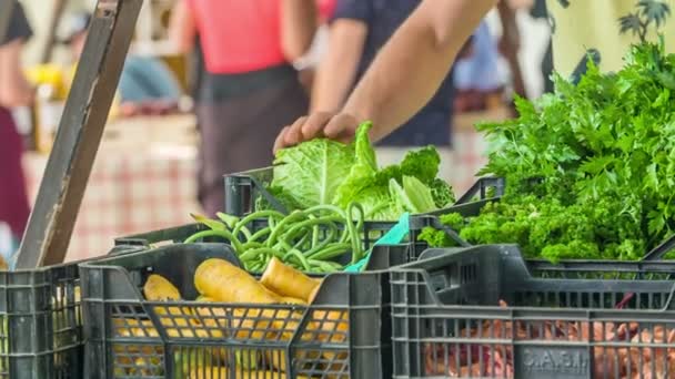 Zöldségek Fekete Műanyag Dobozokban Jelennek Meg Ebben Élelmiszerstandban Minden Frissnek — Stock videók