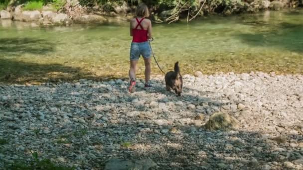 Genç Bir Kadın Yazın Güzel Bir Yürüyüş Için Köpeğini Gezdiriyor — Stok video