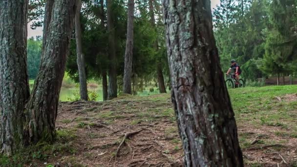Ormanda Bisiklete Binen Iki Insan Doğaya Bakmak Için Durur — Stok video