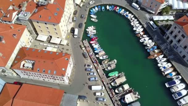 Bonito Puerto Plaza Tartini Piran Situado Junto Disparo Aéreo Verano — Vídeo de stock