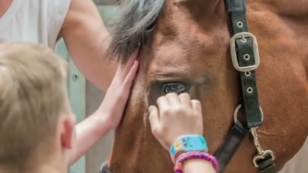 Young Family Caressing Beautiful Brown Horse Which His Stable — Stock Video