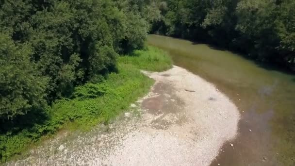 Wir Sehen Ein Flussufer Und Daneben Einen Grünen Wald Der — Stockvideo