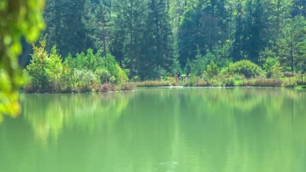 Nádherné Zelené Jezero Letním Období Kolem Jezera Jezdí Dva Cyklisté — Stock video