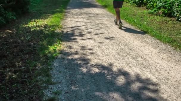 Bilder Mogna Människor Som Joggar Med Vandringsstavar Naturen — Stockvideo