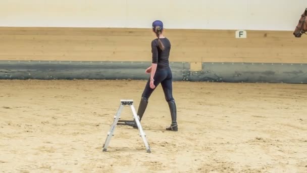 Een Coach Controleert Haar Cliënt Die Een Prachtig Bruin Paard — Stockvideo