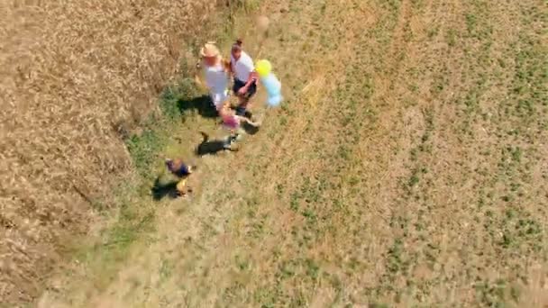 若い家族は畑で本当に速く走り 若い女の子は風船を手放します 彼らは空に向かって移動します 彼らが行くのを見てる — ストック動画