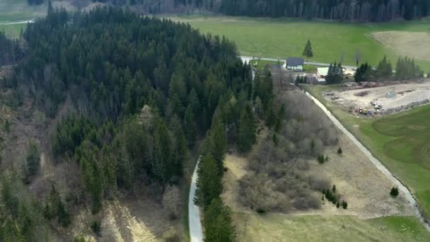 Stor Grön Skog Med Granar Och Vacker Natur Flygskott — Stockvideo