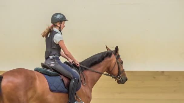 コーチは閉じた馬のアリーナで美しく優雅な茶色の馬に乗っている若い女の子を監督しています — ストック動画