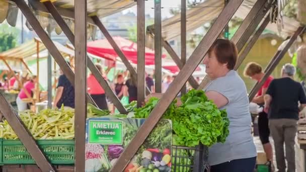 Domzale Slovenia July 2018 People Buying Fresh Farmers Production Market — 图库视频影像