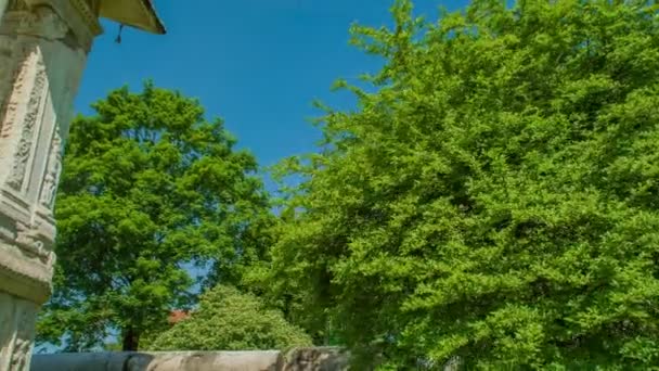 Zalec Celje Slovenië Mei 2017 Een Prachtig Beroemd Monument Met — Stockvideo