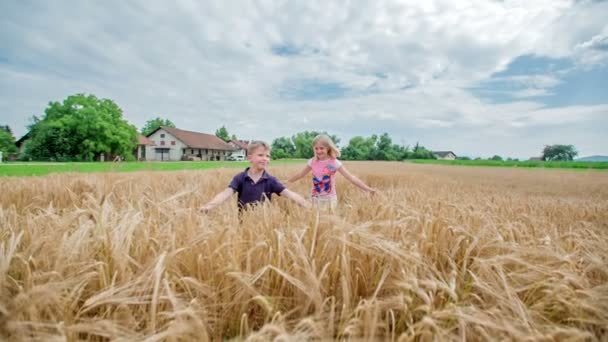 Iki Çocuk Buğday Tarlasında Koşuyorlar Eğleniyorlar Mutlu Görünüyorlar — Stok video