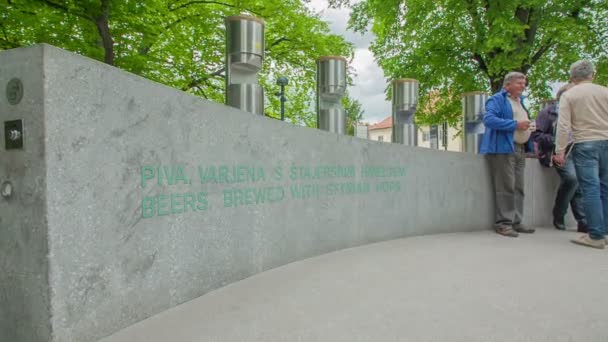 Zalec Słowenia Czerwca 2017 Odwiedzający Mogą Spróbować Różnych Rodzajów Piwa — Wideo stockowe