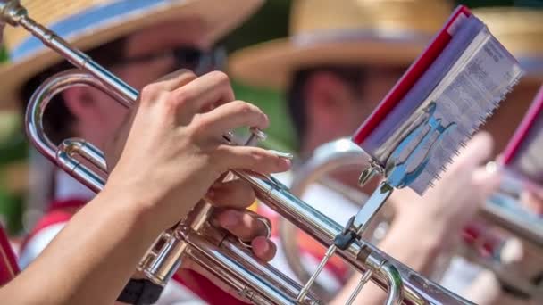 Musiker Spelar Instrument Sociala Evenemang För Att Underhålla Gäster Solig — Stockvideo