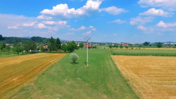 Luftaufnahmen Von Schönen Agrofeldern Sonnigen Tagen — Stockvideo