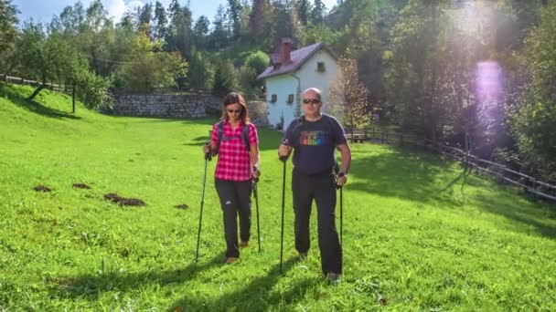 Dwoje Ludzi Idzie Swoimi Kijami Przez Piękną Zieloną Łąkę Zatrzymują — Wideo stockowe