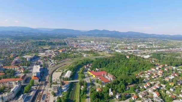 Beautiful Green City Celje Aerial Shot Summer Time Lots Buildings — Stock Video