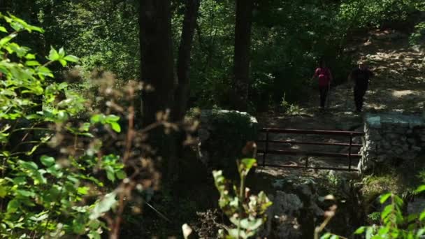 Двоє Людей Повільно Але Впевнено Йдуть Шляху Хороший Літній День — стокове відео