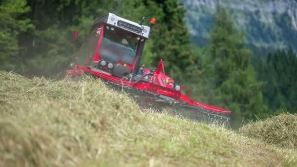 Tractor Rojo Está Conduciendo Una Colina Empinada Está Organizando Heno — Vídeo de stock