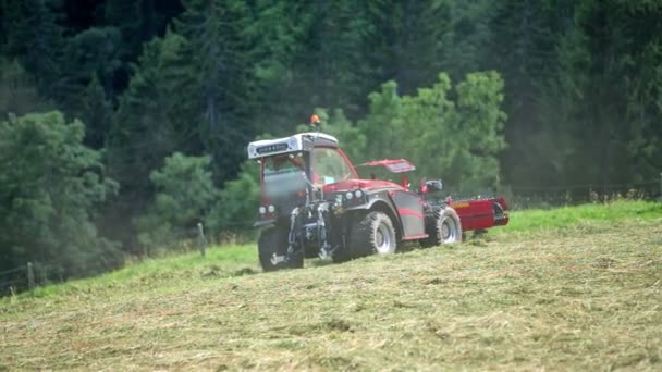 Young Man Preparing Hay Summer Time Rotary Rakes Moving Very — Stock Video