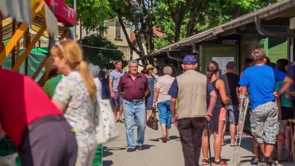 Domzale Slovenien Juli 2018 Människor Som Köper Färsk Lantbruksproduktion Marknaden — Stockvideo