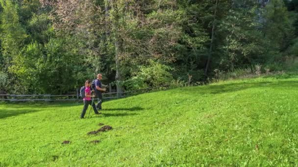 Een Koppel Loopt Een Prachtig Groen Gras Opeens Zien Een — Stockvideo