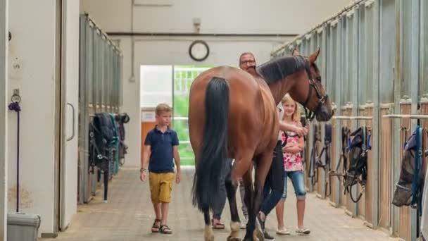 Cavalo Castanho Entra Estábulo Uma Jovem Família Está Animada Para — Vídeo de Stock