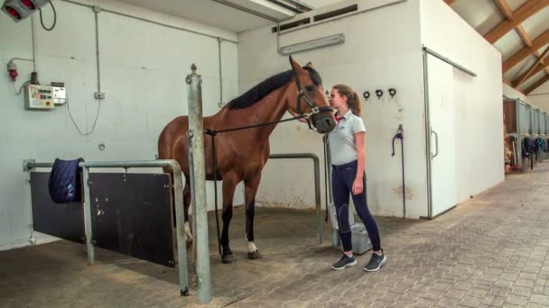 Een Mooi Bruin Paard Staat Zijn Stal Een Jong Meisje — Stockvideo