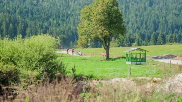 人们骑着低矮的自行车 也骑着普通的自行车 他们正驾驶着他们走在乡村的路上 大自然是绿色的 后面是一片绿色的大森林 — 图库视频影像