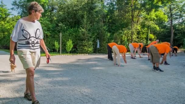 Domzale Slovenia June 2015 Group Senior People Doing Some Exercises — Stock Video