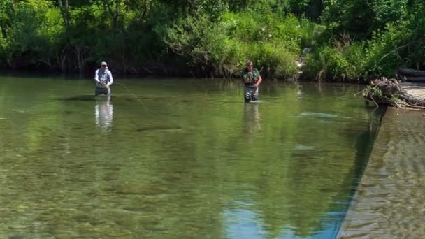 2人の漁師が川に立っていて 魚を捕まえようとしています — ストック動画