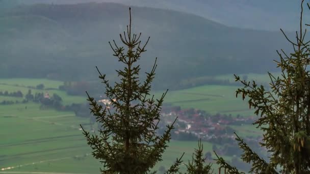 Krásné Vysoké Smrky Opravdu Vysoké Hory Pozadí Údolí Jsou Také — Stock video