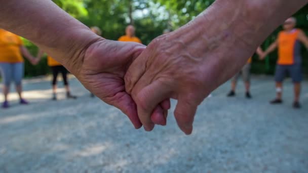 Group Seniors Making Big Circle Holding Each Other Hands Swaying — Stock Video