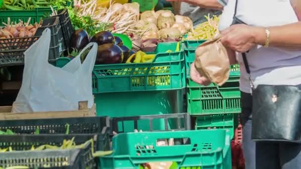 Van Mindenféle Zöldség Jelenik Meg Élelmiszer Standon Vásárlók Egy Nagy — Stock videók