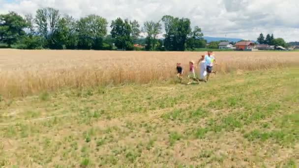 Young Family Running Fields Girl Tries Let Balloons Won Aerial — Stock Video