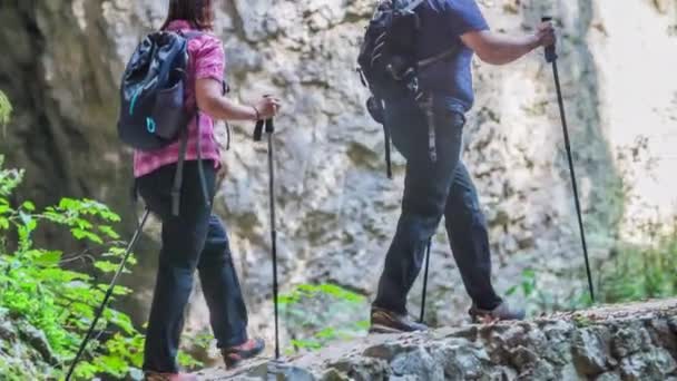 Deux Personnes Arrêtent Milieu Sentier Randonnée Regardent Quelque Chose Est — Video