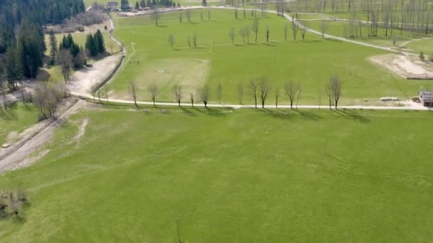 Kilka Samotnych Drzew Rośnie Obok Dwóch Małych Dróg Strzał Powietrza — Wideo stockowe