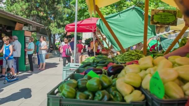 Domzale Slovenia Iulie 2018 Oameni Care Cumpără Produse Proaspete Fermieri — Videoclip de stoc