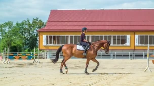 Jinete Joven Practica Montar Caballo Una Gran Arena Aire Libre — Vídeo de stock