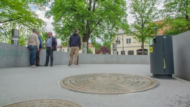 Zalec Slovénie Juin 2017 Les Gars Amusent Debout Dans Parc — Video