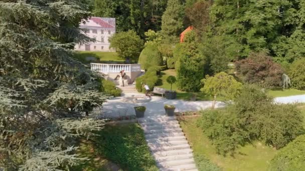 Nous Pouvons Voir Beau Parc Couple Marié Une Séance Photo — Video