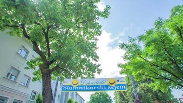 Entrance Straw Hat Festival Very Nice Summer Day Trees Green — Stock Video