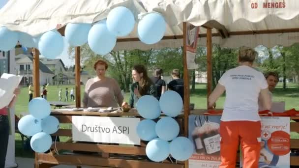 Domzale Slovenia Giugno 2018 Diverse Persone Hanno Stand Questo Festival — Video Stock