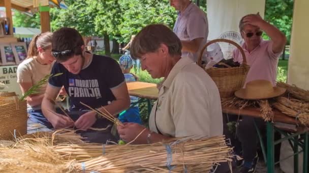 Few People Sitting Together Making Baskets Out Straw Taking Place — Stock Video