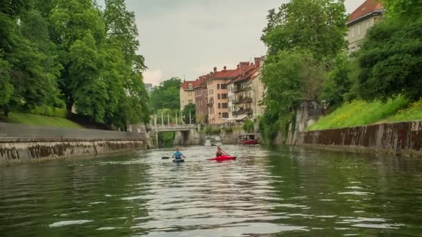 Dva Muži Pádlují Kajaku Řece Lubljanici Obou Březích Řeky Mnoho — Stock video