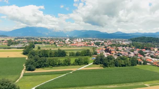 Est Heure Été Campagne Vue Aérienne Les Champs Sont Verts — Video