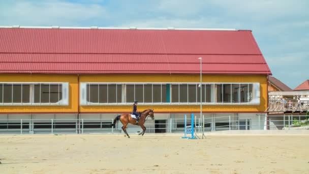 Zien Een Enorm Paardencentrum Een Mooie Boerderij Achtergrond Het Een — Stockvideo