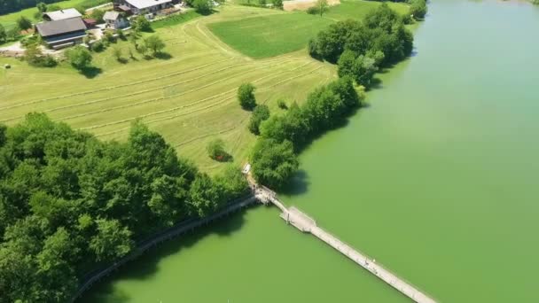 Disparo Aéreo Hermoso Lago Verde Centro Eslovenia Puente Que Lado — Vídeos de Stock