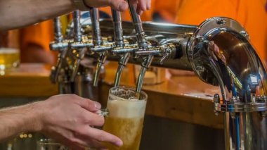 DOMZALE, SLOVENIA - 16. HAZİRAN 2018 Bir barmen bir sürahiye bira döküyor. Bir sürahi neredeyse bira dolu..
